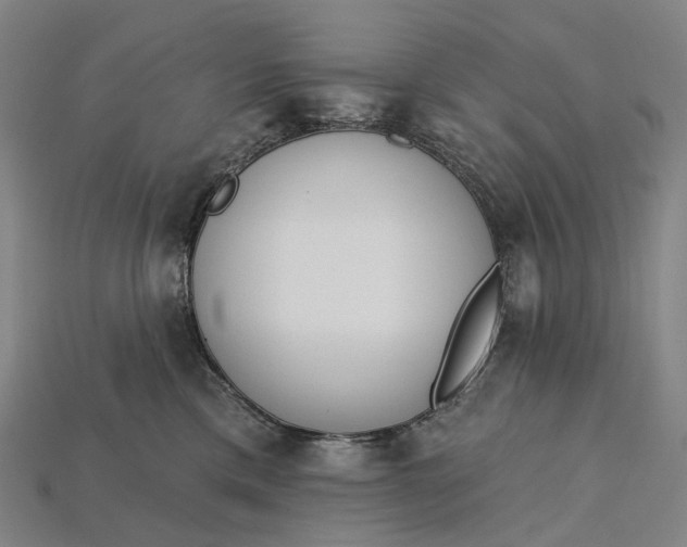 X0000115230425200911131647