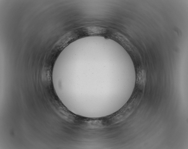 X0000115230426200911131647