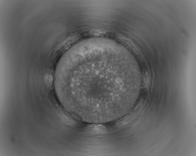 X0000115230427200911131647