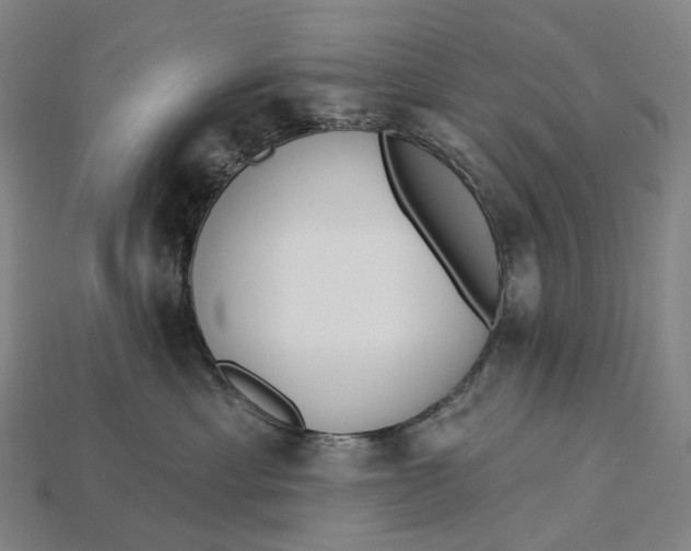 X0000115230429200911131647