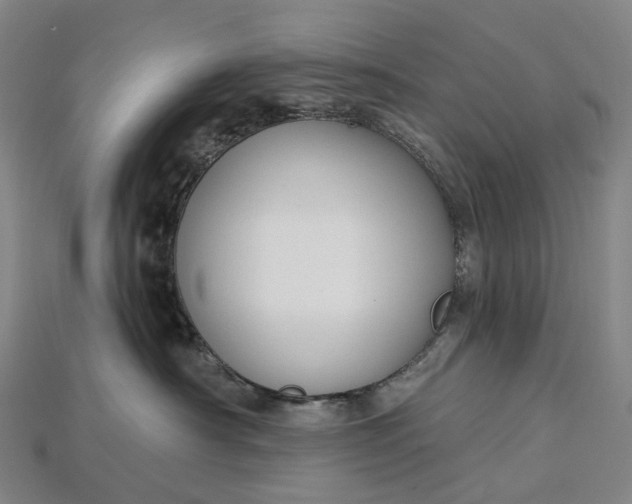 X0000115230430200911131647