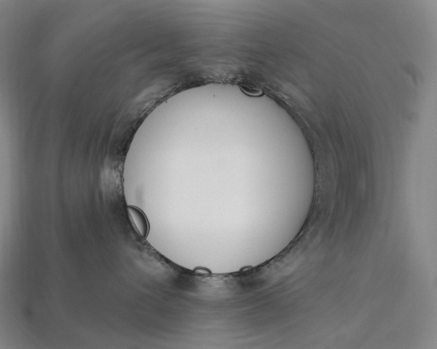 X0000115230432200911131647