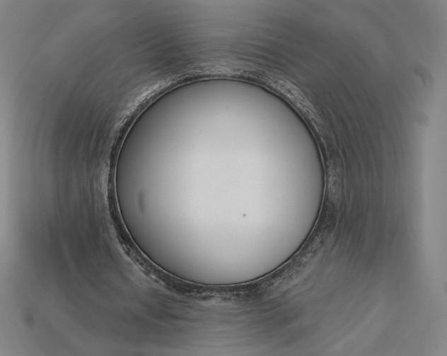 X0000115230434200911131646