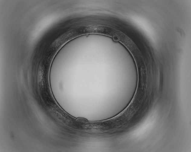 X0000115230435200911131646