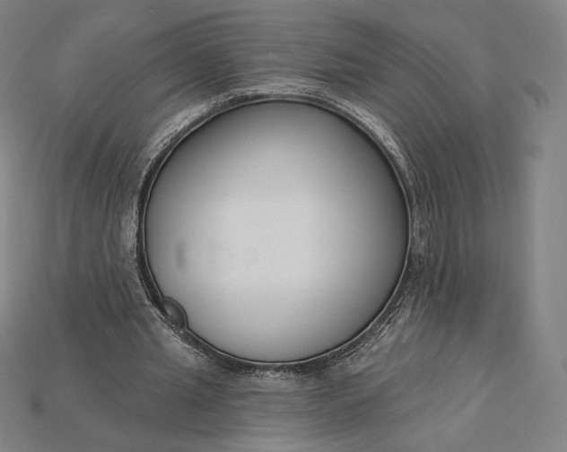 X0000115230437200911131646