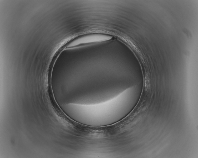 X0000115230438200911131647