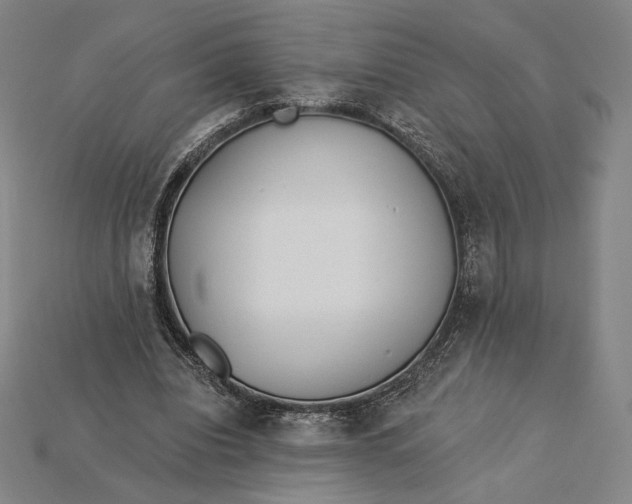 X0000115230440200911131647