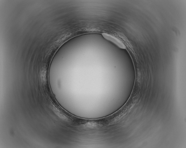 X0000115230441200911131647