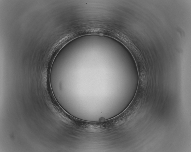 X0000115230442200911131647