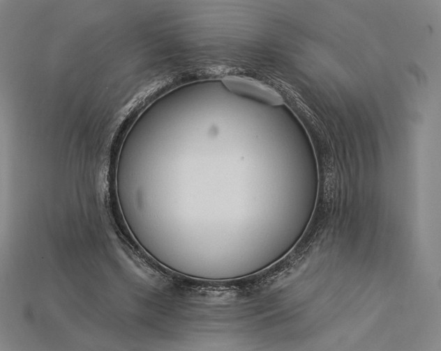 X0000115230443200911131647