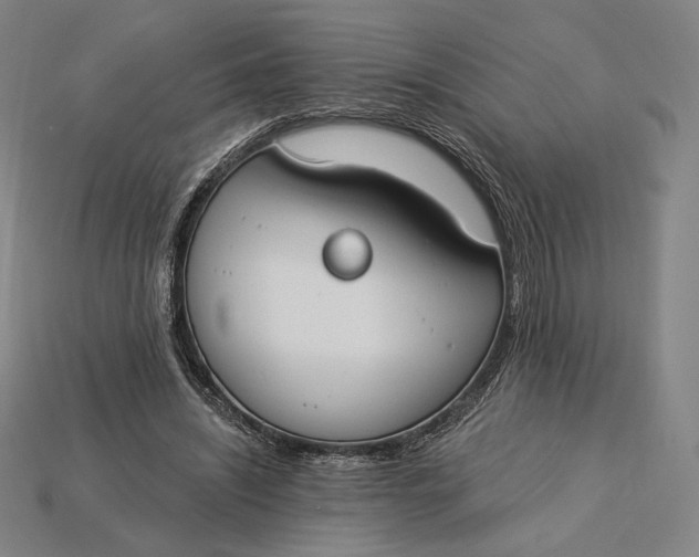 X0000115230444200911131647