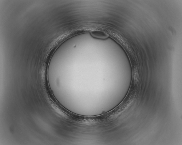 X0000115230445200911131647