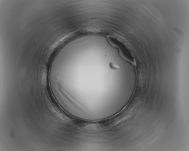 X0000115230446200911131647