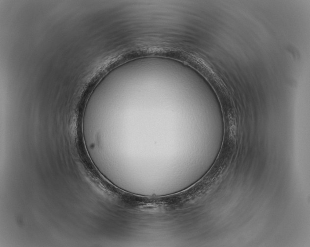 X0000115230447200911131647