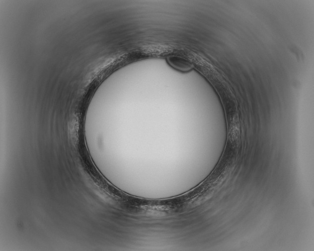 X0000115230448200911131647