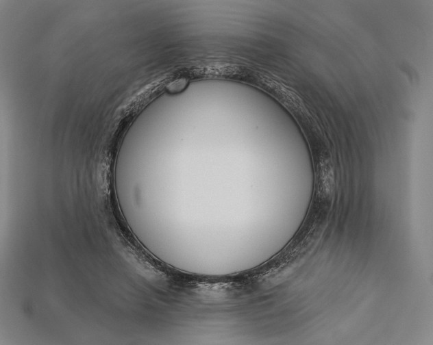 X0000115230450200911131647