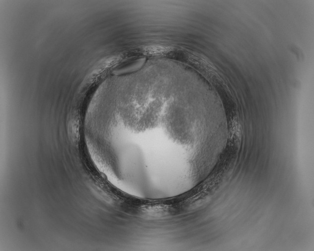 X0000115230452200911131647