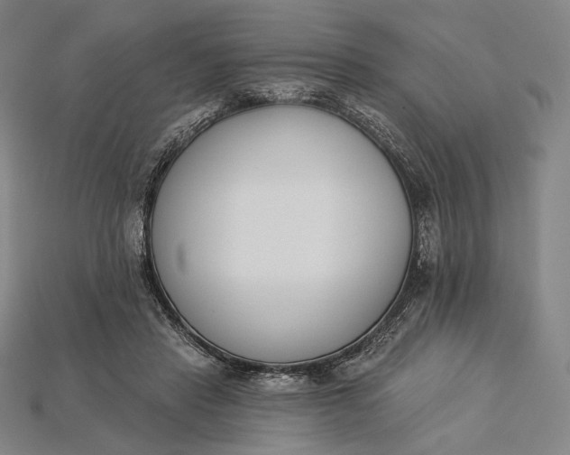 X0000115230453200911131647