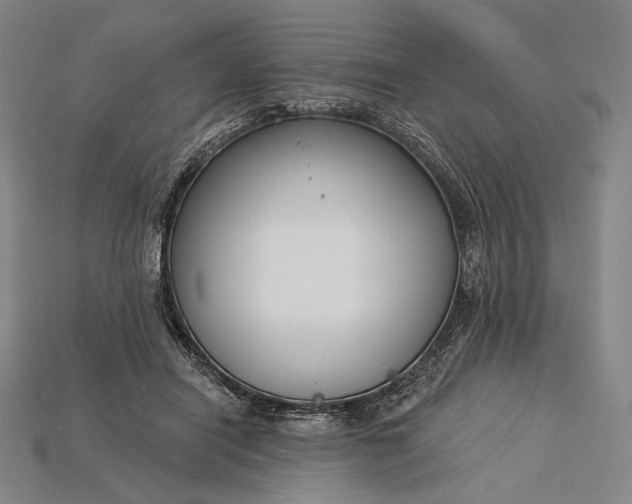 X0000115230454200911131647