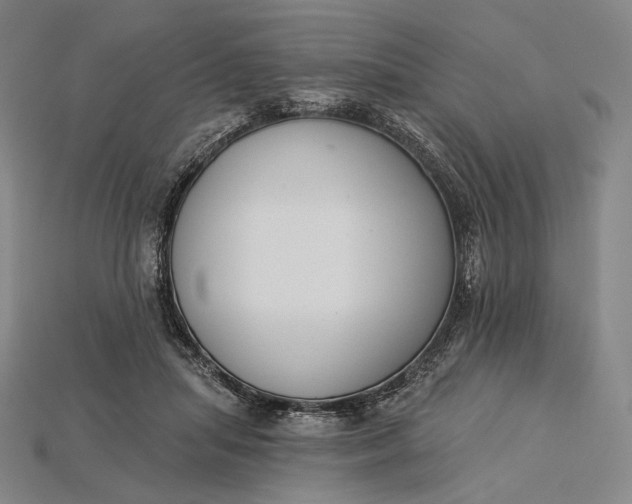 X0000115230455200911131647