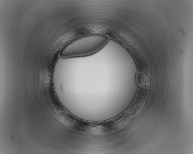 X0000115230456200911131647