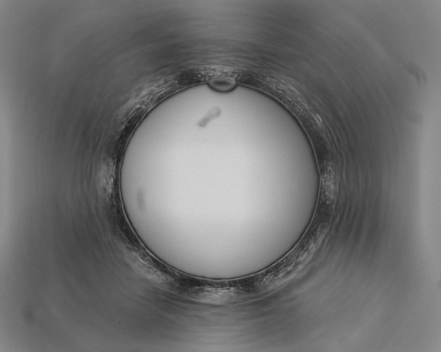 X0000115230458200911131647