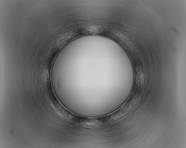 X0000115230459200911131647