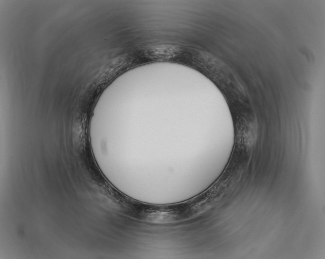 X0000115230460200911131647