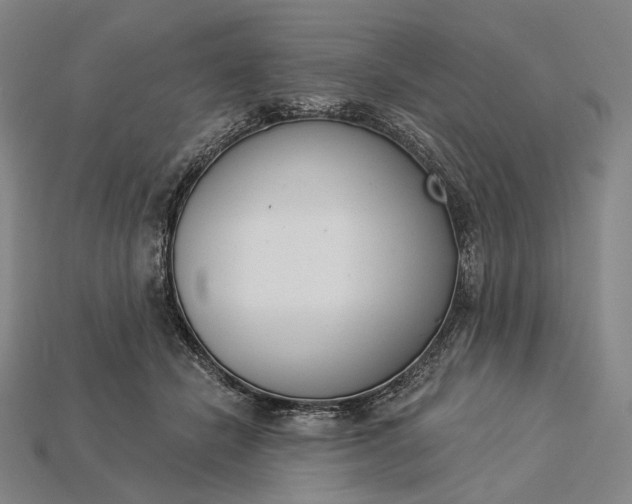 X0000115230462200911131647