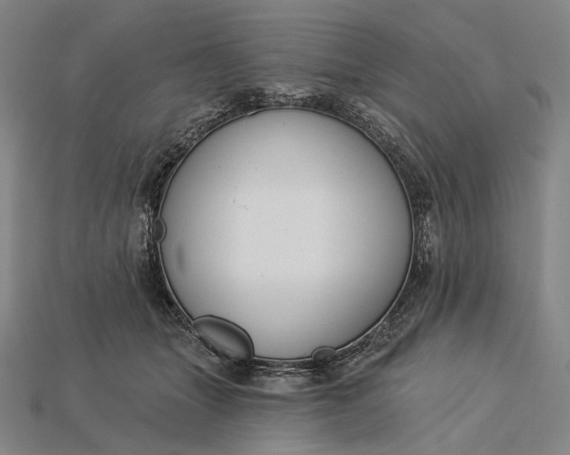 X0000115230463200911131647