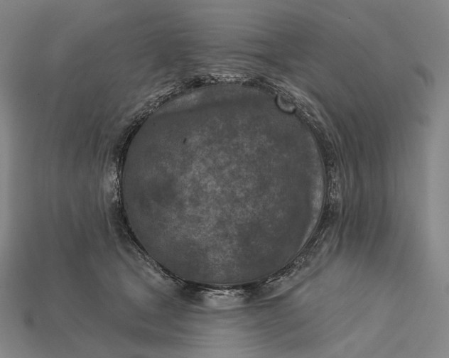 X0000115230465200911131647