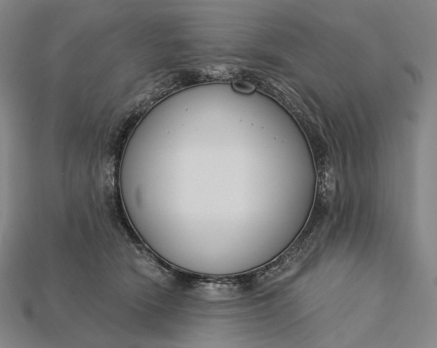 X0000115230466200911131647