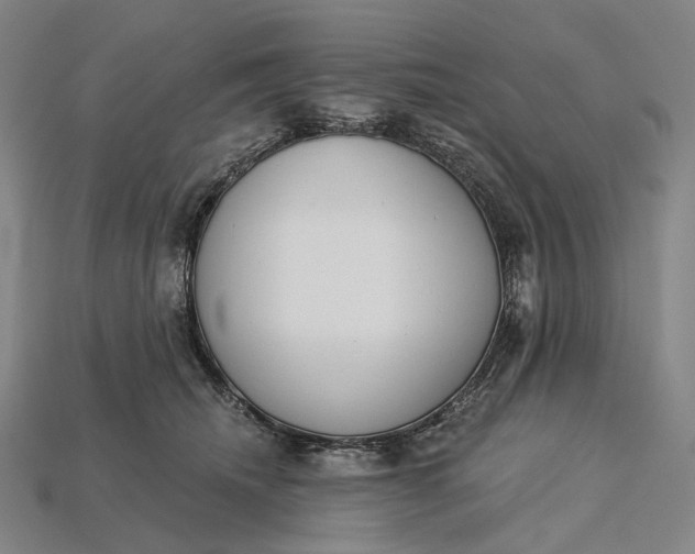 X0000115230468200911131647