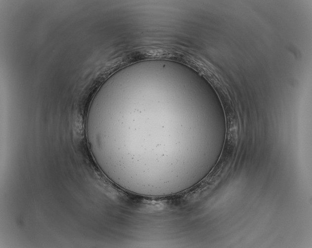 X0000115230469200911131647