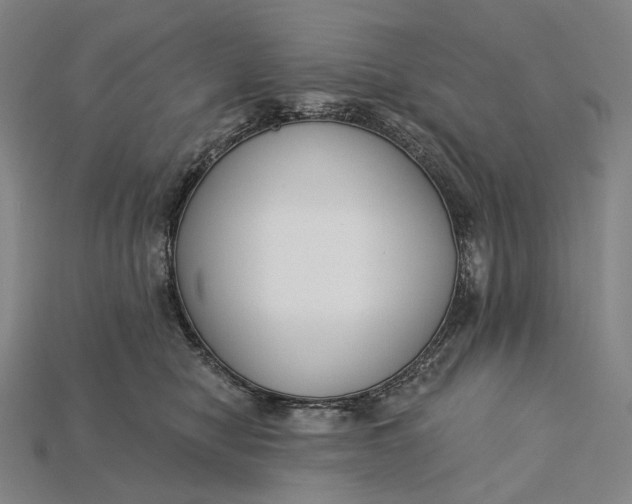 X0000115230470200911131647