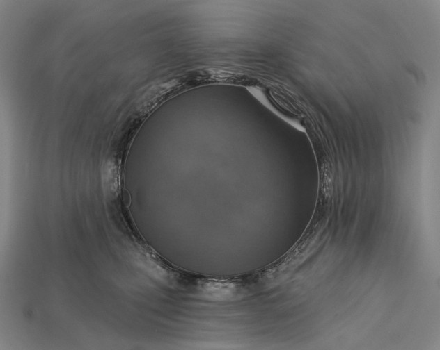 X0000115230471200911131647