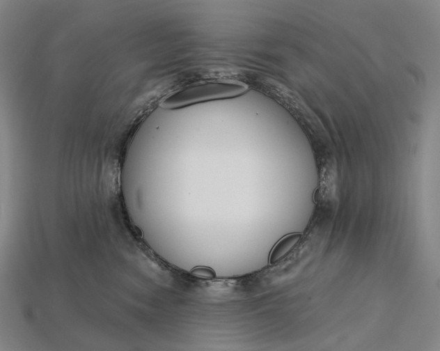 X0000115230474200911131647