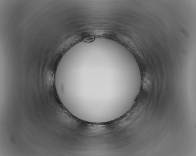 X0000115230476200911131647