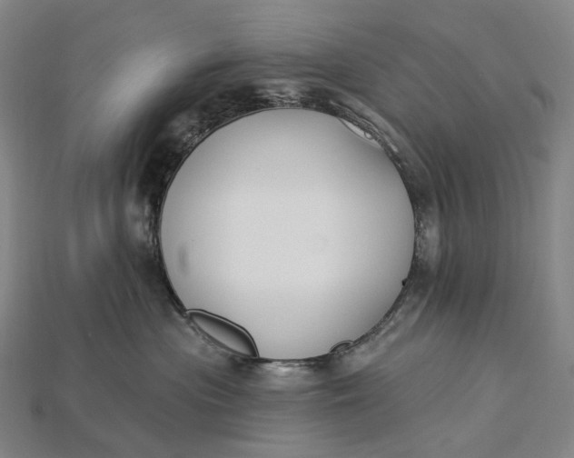 X0000115230477200911131647