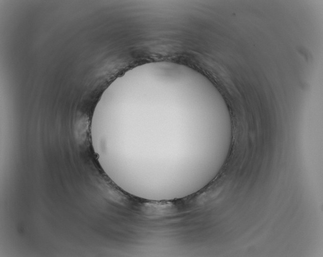 X0000115230480200911131647