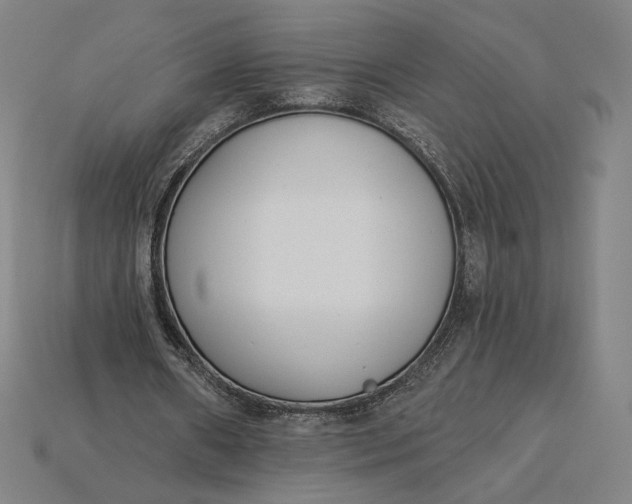 X0000115230482200911131646