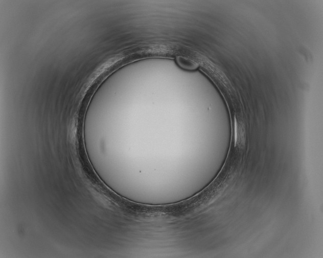 X0000115230483200911131646