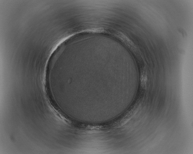 X0000115230484200911131646