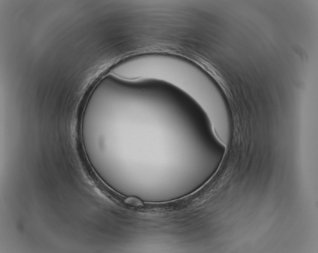 X0000115230485200911131646