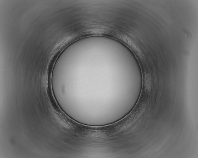 X0000115230486200911131646