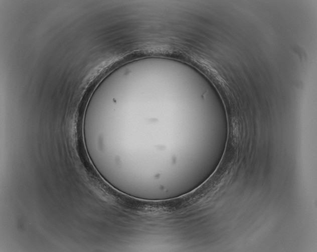 X0000115230487200911131646