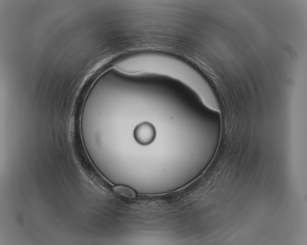 X0000115230488200911131646