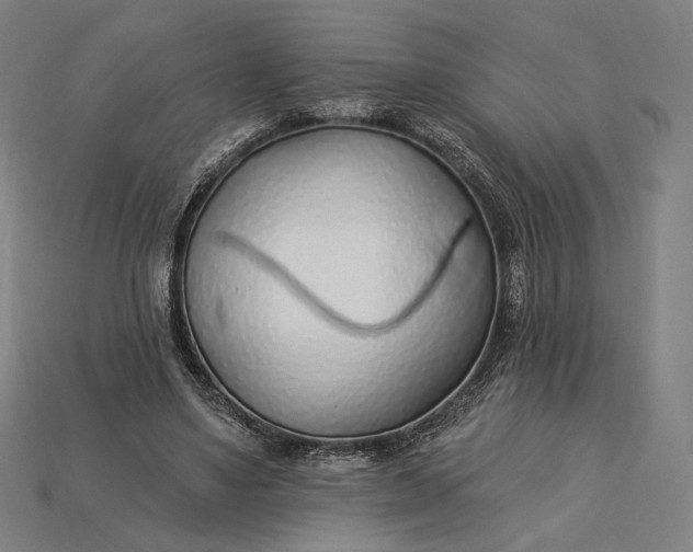 X0000115230491200911131646
