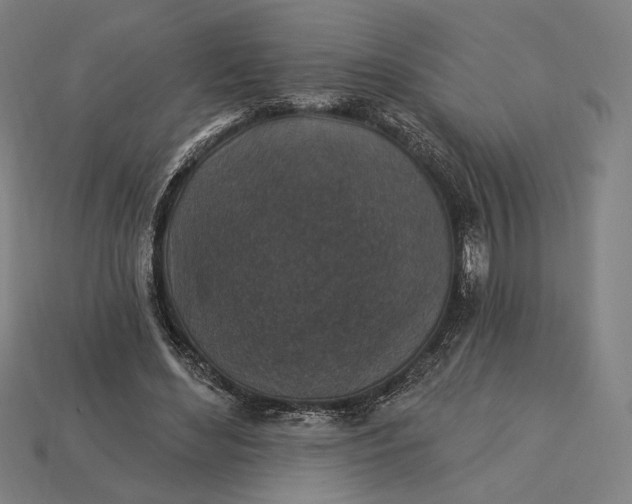 X0000115230492200911131646