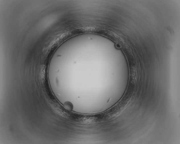 X0000115230495200911131646